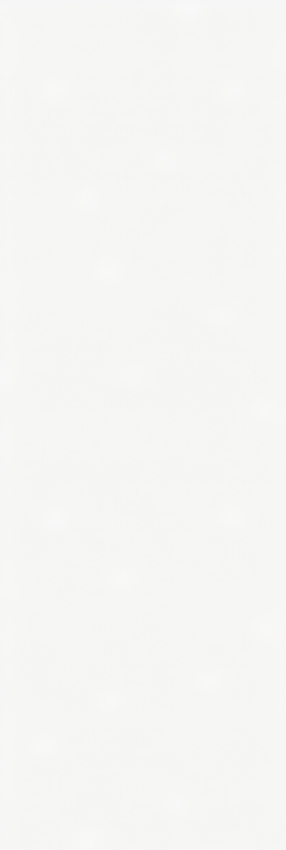 PORSCHE WHITE-MOONLIGHT