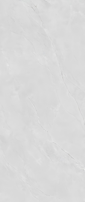 BAIKAL FISH MAW GREY