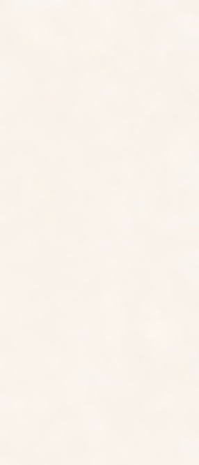 MAGNOLIA GRANDIFLORA