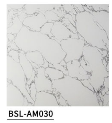 BSL-AM030