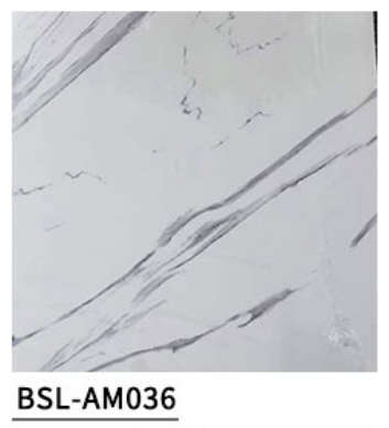 BSL-AM036
