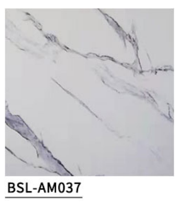 BSL-AM037