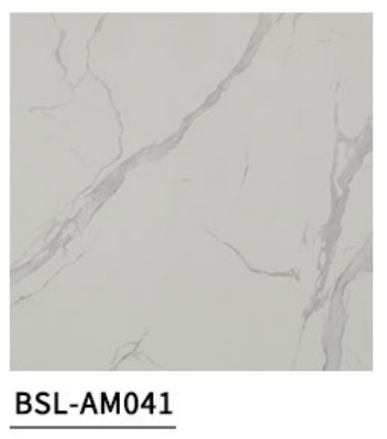 BSL-AM041