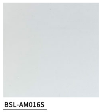 BSL-AM016S