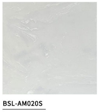 BSL-AM020S