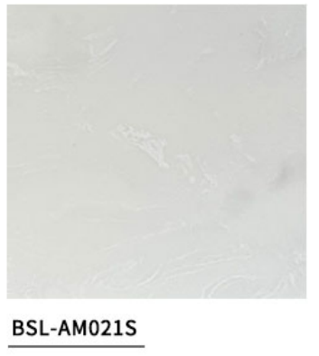 BSL-AM021S