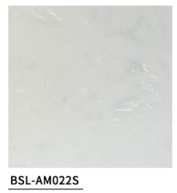 BSL-AM022S