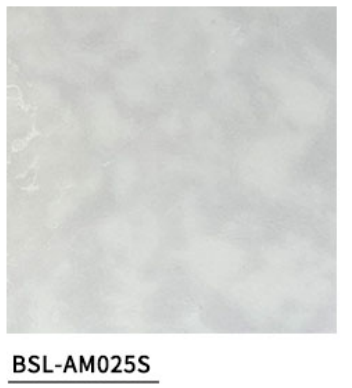 BSL-AM025S