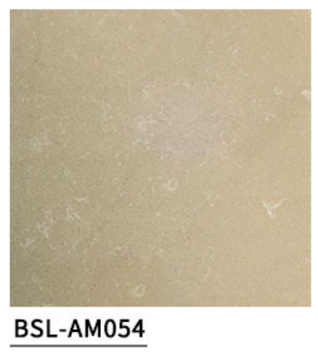 BSL-AM054
