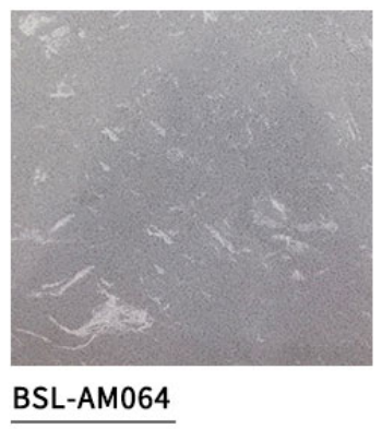 BSL-AM064